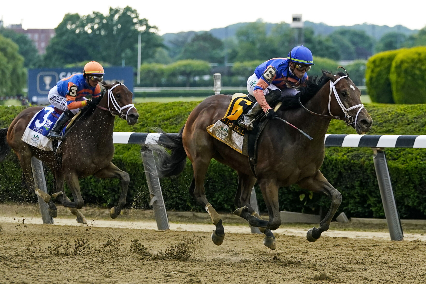 Belmont Stakes Horse Racing